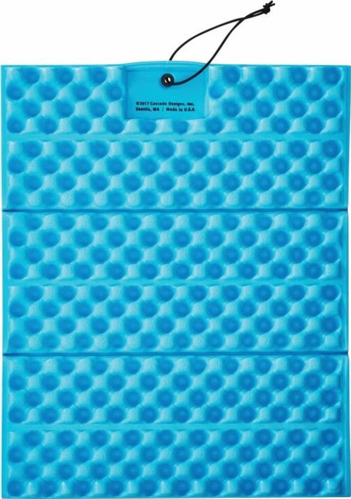 Blue/Silver