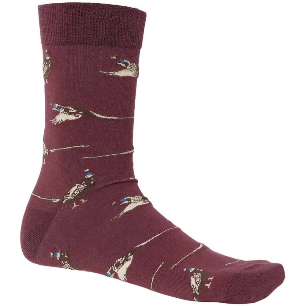 Fox Red Pheasant