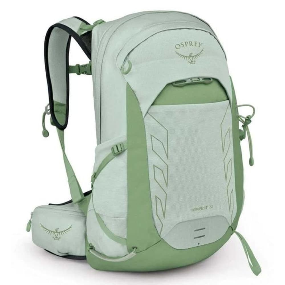 Mint Green Botanica