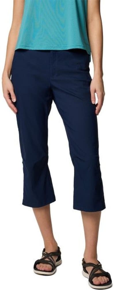 Collegiate Navy