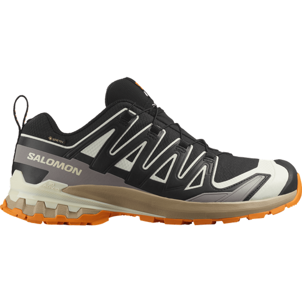 productImage: Shoes Xa Pro 3D V9 GTX Black/Vanila/Turm
