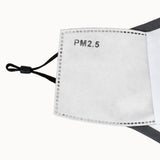 Face Mask m/ 2stk filter